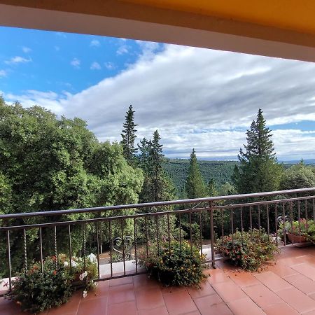 Casa Bruna - Cipresseta Del Chianti Кастелина ин Шианти Экстерьер фото